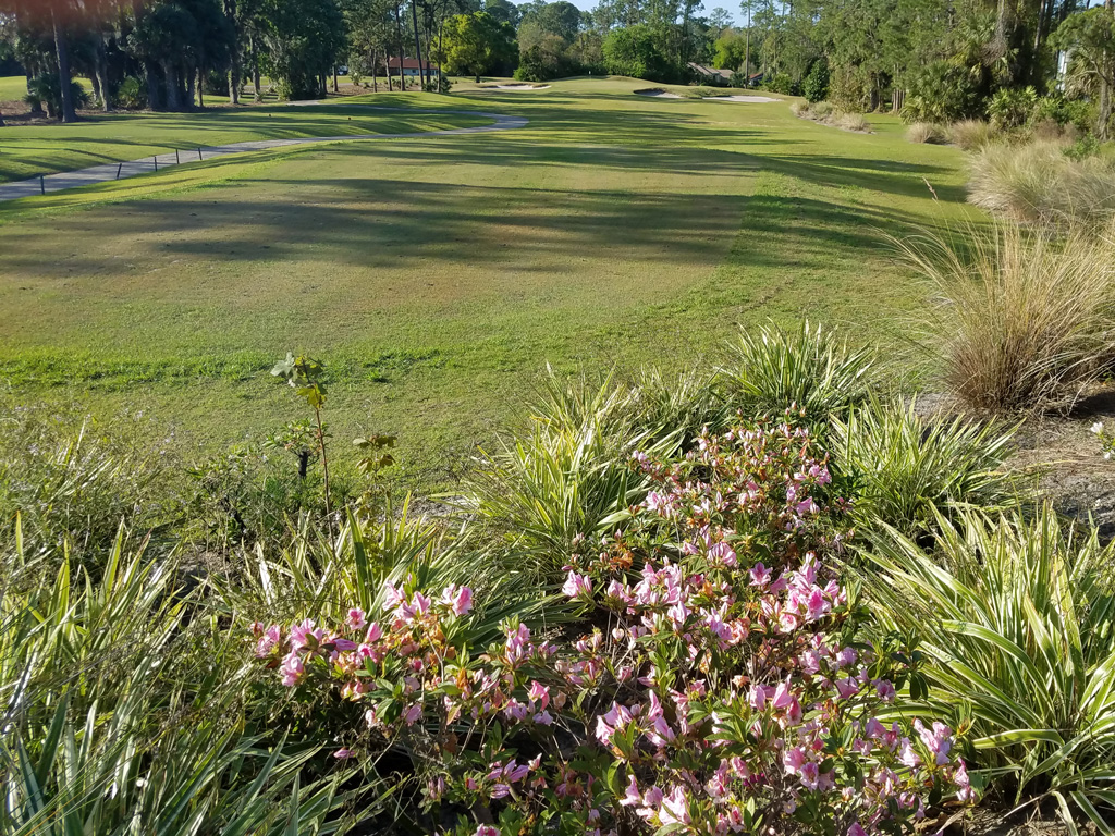 course with flowers